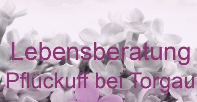 Lebensberatung Pflückuff bei Torgau | Top-Experten für Kartenlegen, Wahrsagen, Hellsehen, Zukunftsdeutung. Lebensberatung Pflückuff bei Torgau | Top-Experten für Kartenlegen, Wahrsagen, Hellsehen, Zukunftsdeutung.